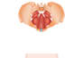 create medical and scientific illustrations for journals, publications and books
